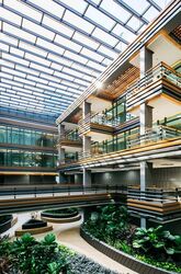 Harbourside Building 1 (D5), Office #455718621